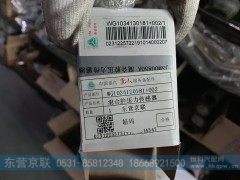 WG1034130181+002,混合腔压力传感器,东营京联汽车销售服务有限公司