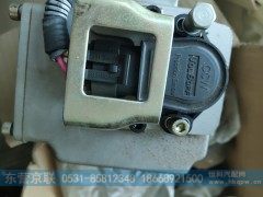 982146205,,东营京联汽车销售服务有限公司