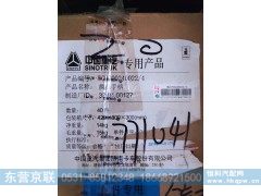 WG9700240022,换挡手柄,东营京联汽车销售服务有限公司