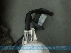 WG9925580102,右组合开关总成,东营京联汽车销售服务有限公司