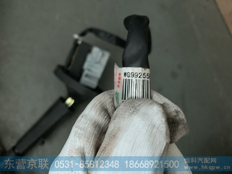 WG9925580102,右组合开关总成,东营京联汽车销售服务有限公司