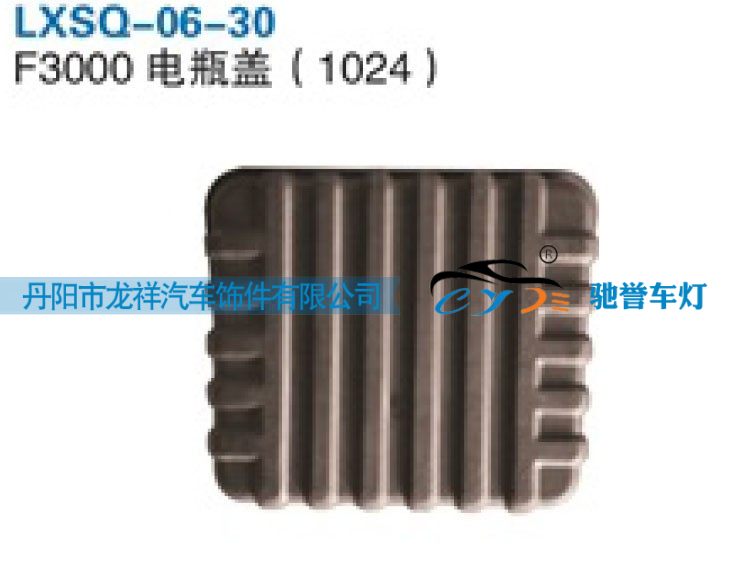 1024,陕汽德龙F3000电瓶箱盖,丹阳市龙祥汽车饰件有限公司