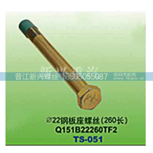 Q151B22260TF2,直径22钢板座螺丝（260长）,晋江新兴螺丝有限公司