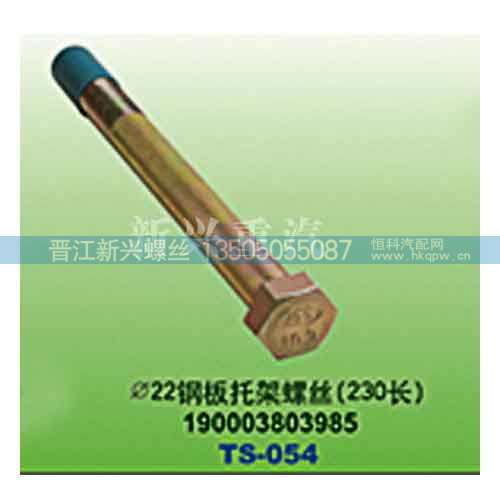 190003803985,直径22钢板托架螺丝（230长）,晋江新兴螺丝有限公司