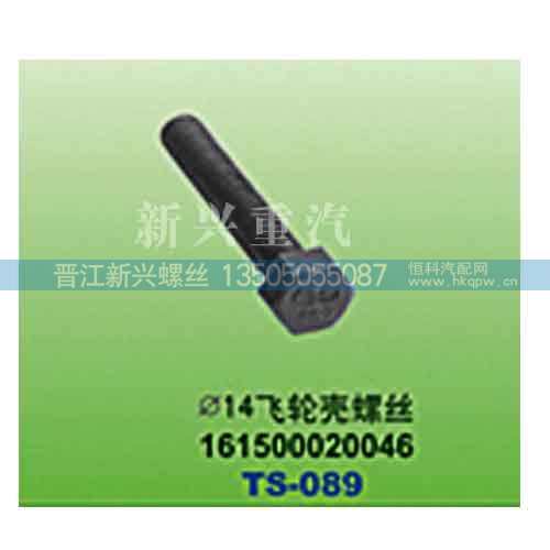 161500020046,直径14飞轮壳螺丝,晋江新兴螺丝有限公司