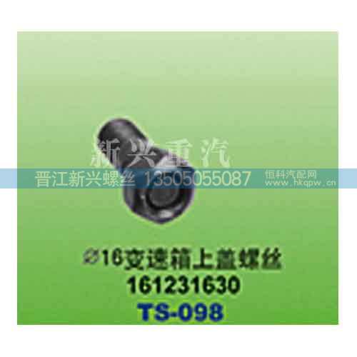 161231630,直径16变速箱上盖螺丝,晋江新兴螺丝有限公司