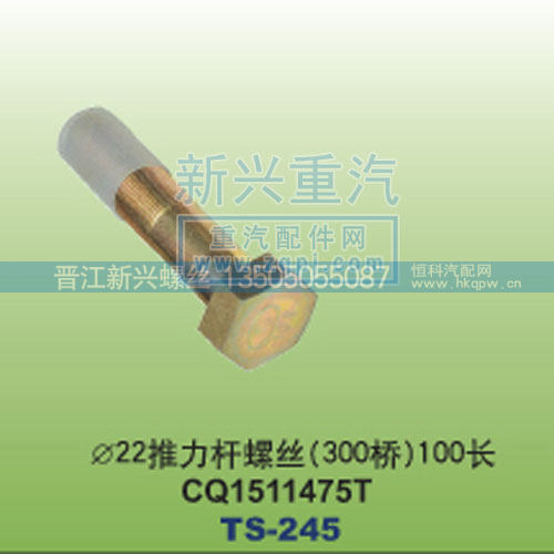 ￠22推力杆螺丝300桥100长CQ1511475T