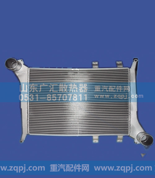 WG9725530130 芯体尺寸725x595