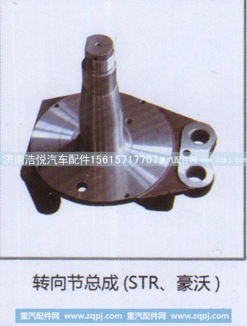 转向节总成 (STR 豪沃)