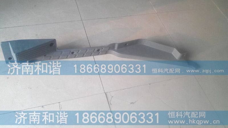陕汽德龙X3000左车门坎条DZ14251620080