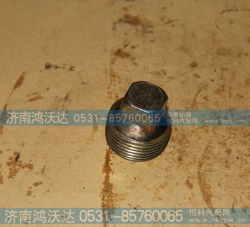WG2203010002  放油螺塞总成