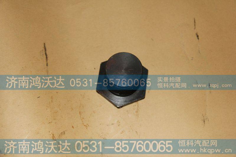 WG2229100073  螺栓