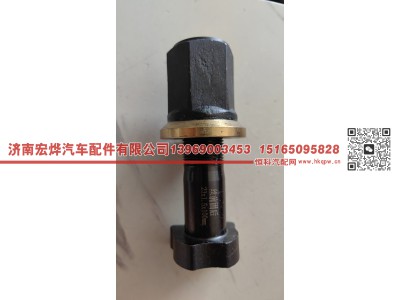 23*100,23*100 斯泰尔前轮胎螺丝,济南宏烨汽车配件有限公司