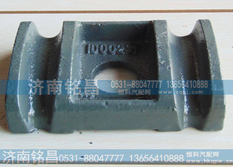 WG801520002前钢板盖板
