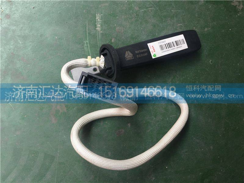 重汽豪沃A7巡航开关 右组合开关WG9725584009