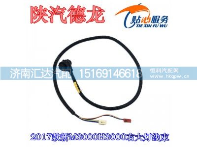 DZ96189772798,陕汽德龙新款新M3000H3000右大灯线束,济南汇达汽配销售中心