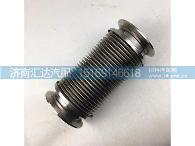 DZ9M259543001,挠性软管,济南汇达汽配销售中心