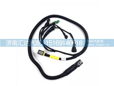 DZ97189774066,线束,济南汇达汽配销售中心