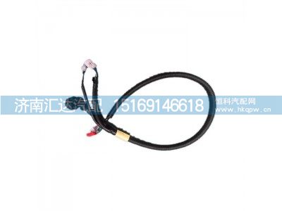 DZ96189772768,大燈線束,濟(jì)南匯達(dá)汽配銷售中心