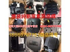 WG1034121181,尿素集成泵,济南大福SCR后处理专营店