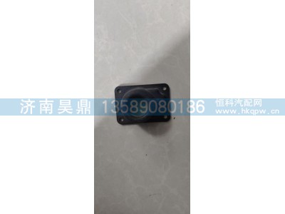 AZ9925820060,,济南昊鼎汽车配件有限公司