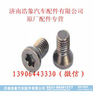 潍柴WD615   WD12欧二   WP10主油道后螺塞