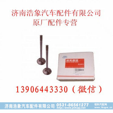 潍柴WD615 欧Ⅱ进气门
