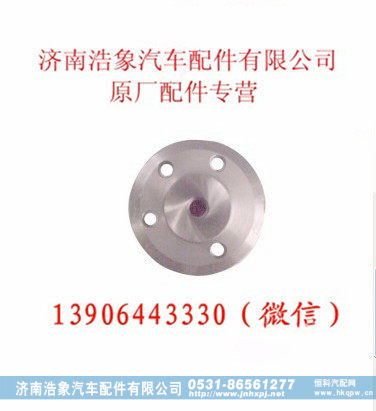 潍柴WP12发动机中间齿轮分总成
