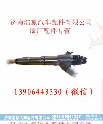 潍柴WP12喷油器