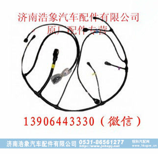 潍柴发动机(国三) 喷油器线束总成