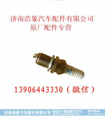 重汽WT615.91天然气发动机火花塞