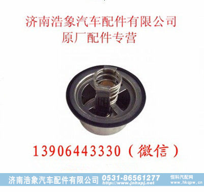 重汽豪沃HOWO节温器芯