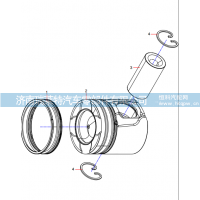 61000214 Piston Assembly