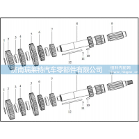 8DS240A-1701056 中间轴传动齿轮 Driver gear
