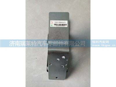 TG53715800015/1,电子油门踏板,济南瑞莱特汽车零部件有限公司