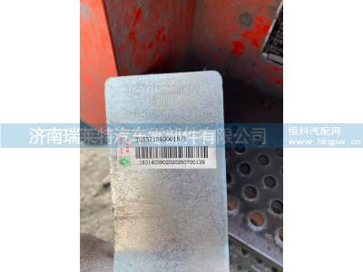 TG53715800015/1,电子油门踏板,济南瑞莱特汽车零部件有限公司