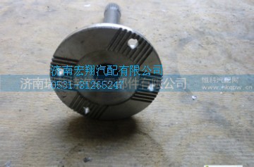 陕汽德龙曼桥F3000贯通轴81.35004.0021