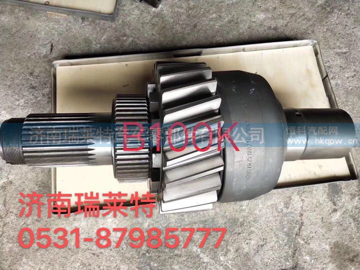 W2510020B100K 轴间差速器壳总成