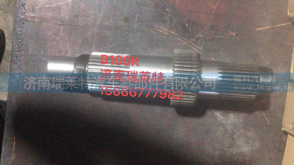 W2502261B100K  输入轴
