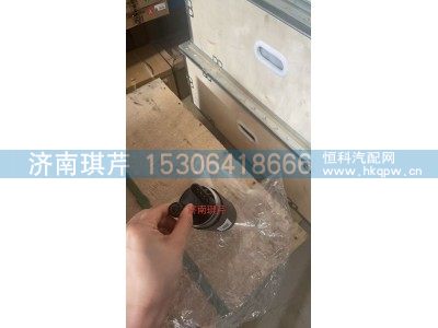11GLMN25-06100,燃油泵-（甲醇）,济南琪芹汽车配件销售中心