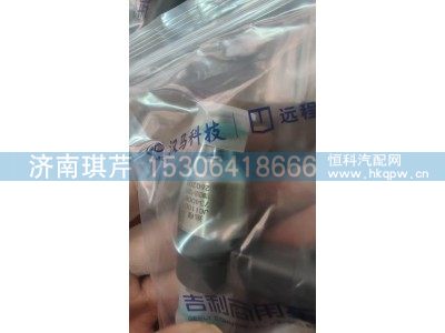 630MA1161112A,甲醇喷油器,济南琪芹汽车配件销售中心