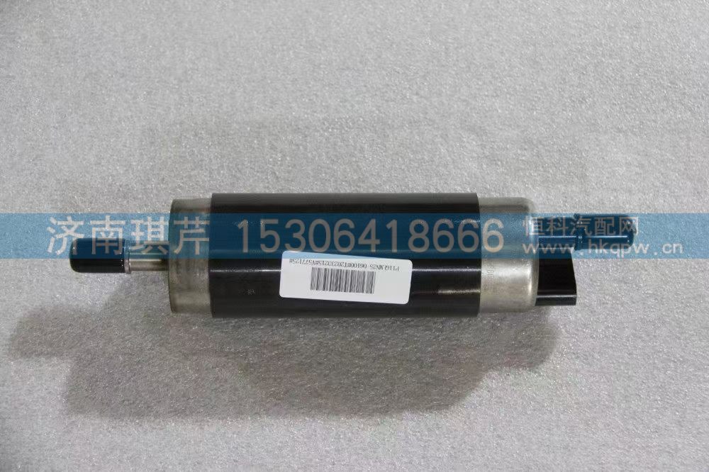 11GLMN25-06100,燃油泵（甲醇）,济南琪芹汽车配件销售中心