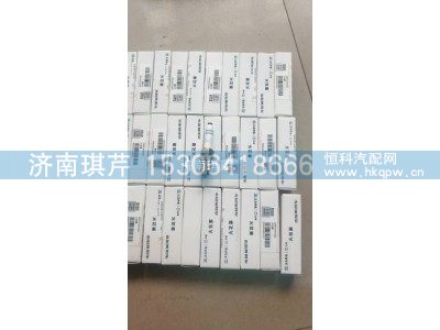628TC3707002A,火花塞,济南琪芹汽车配件销售中心
