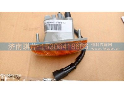 41GLMN25-11030,左侧转向灯总成,济南琪芹汽车配件销售中心
