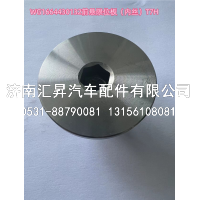 WG1664430132,,济南汇昇汽车配件有限公司