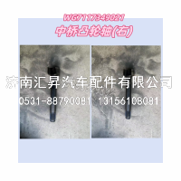 中桥凸轮轴右/后桥左