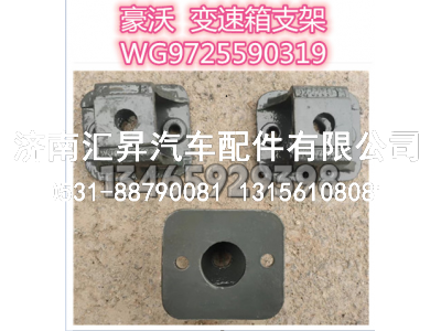 WG9725590319,,濟(jì)南匯昇汽車配件有限公司