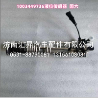 1003449736	 液位传感器   国六