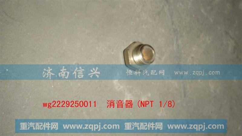 WG2229250011,消音器(NPT 1、8),济南信兴汽车配件贸易有限公司