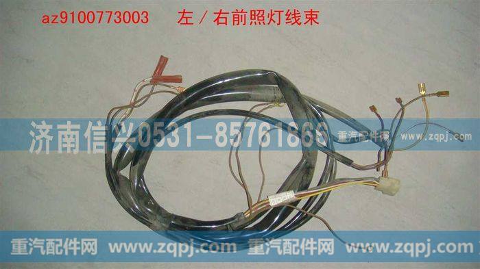 AZ9100773003,左-右前照灯线,济南信兴汽车配件贸易有限公司
